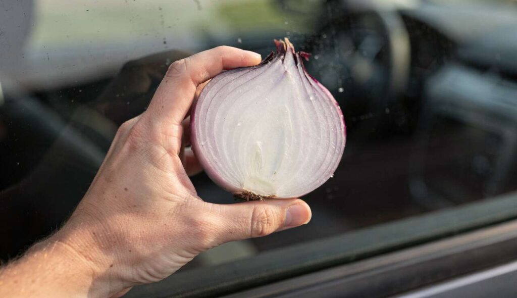 Der Zwiebel-Trick gegen beschlagene Fenster: Einfach und erstaunlich wirksam